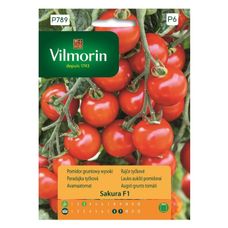Pomidor gruntowy koktajlowy Sakura F1 9szt Vilmorin