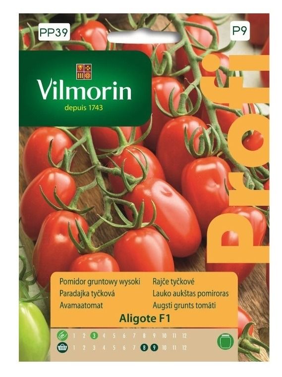 Pomidor koktajlowy Aligote F1 Profi 0,15g Vilmorin