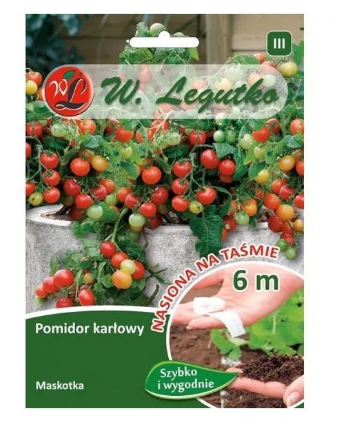 Pomidor Maskotka - taśma 6m Legutko