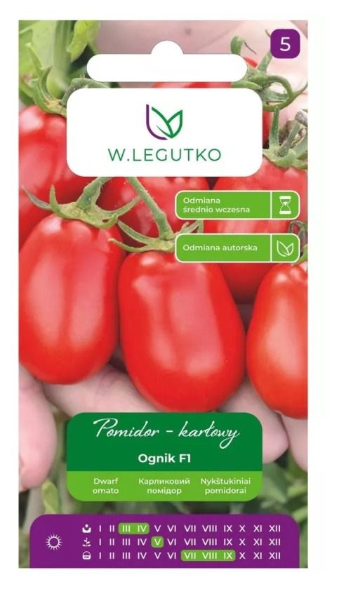 Pomidor Ognik F1 0,5g Legutko