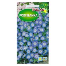 Porcelanka niebieska 0,5g Polan