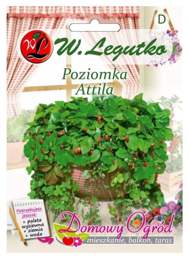 Poziomka Attila 0,1g Domowy Ogród Legutko2
