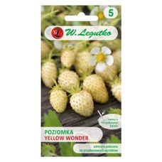 Poziomka żółta Yellow Wonder - 0,1g Legutko