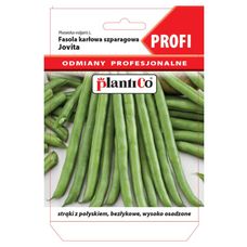 Fasola szparagowa zielona Jovita Profi 30g Plantico