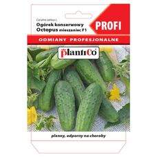 Ogórek Octopus Profi 1,5g F1 Plantico