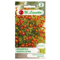 Aksamitka wąskolistna Red Gem 0,3g Legutko