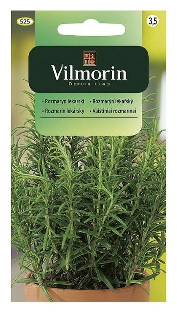 Rozmaryn lekarski 0,1g Vilmorin