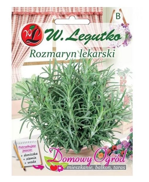 Rozmaryn Lekarski 0,1g - Domowy Ogród Legutko