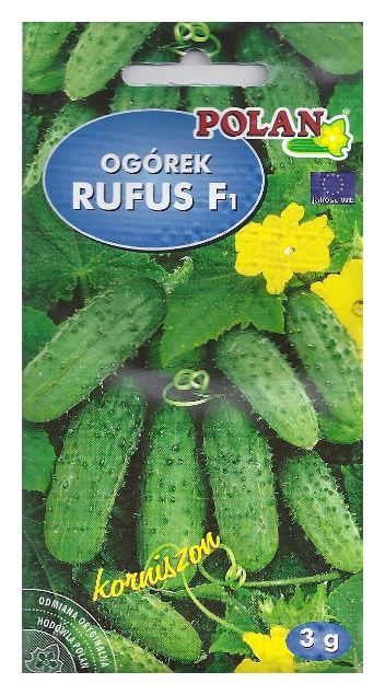 Ogórek Rufus F1 3g Polan