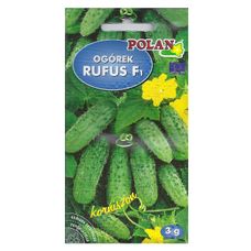 Ogórek Rufus F1 3g Polan