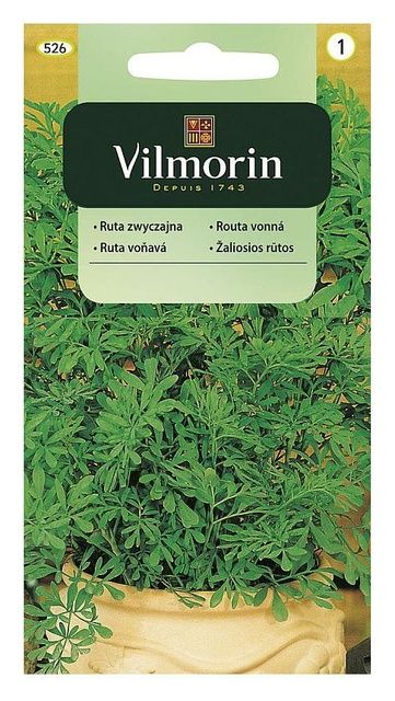 Ruta zwyczajna 0,2g Vilmorin