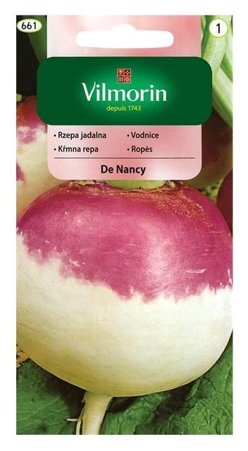 Rzepa jadalna De nancy 5g Vilmorin