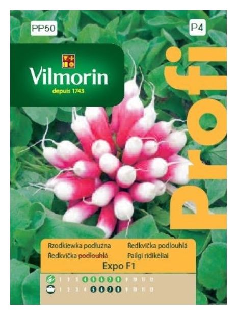 Rzodkiewka Expo F1 5g Vilmorin
