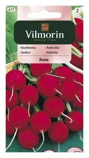 Rzodkiewka Rowa Vilmorin