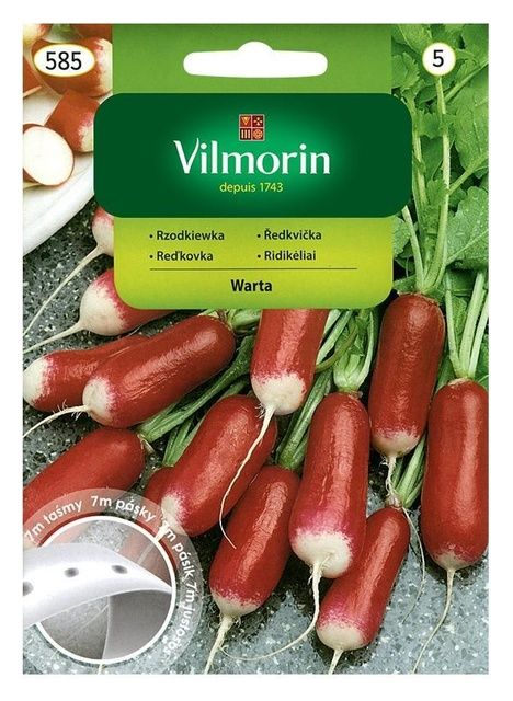 Rzodkiewka Warta taśma 7m Vilmorin