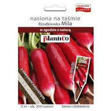 Rzodkiewka podłużna MILA nasiona na taśmie 5m PlantiCo ułatwiają wysiew do gruntu. Równomierne rozmieszczenie nasion eliminuje po wschodach potrzebę przerywki.