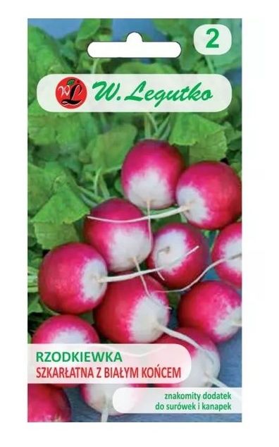 Rzodkiewka Szkarłatna z Białym Końcem Legutko