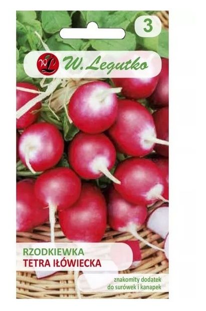 Rzodkiewka Tetra Iłówiecka 5g Legutko