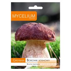 Grzybnia Borowik sosnowy 10g Mycelium