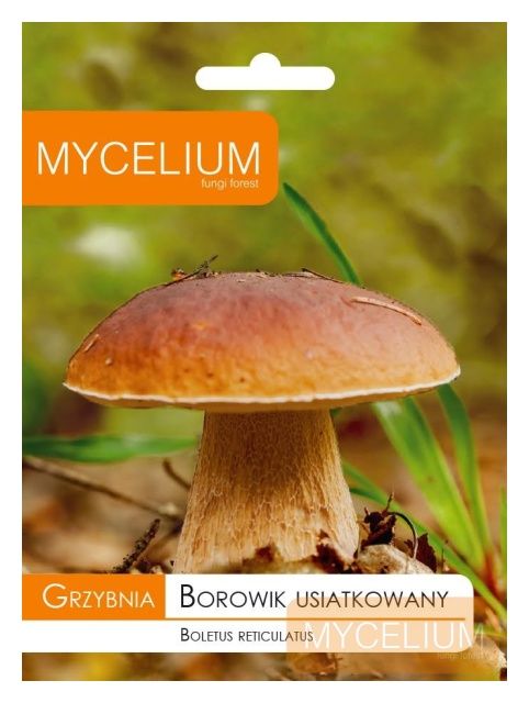 Grzybnia Borowik usiatkowany 10g Mycelium
