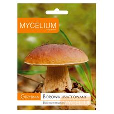 Grzybnia Borowik usiatkowany 10g Mycelium