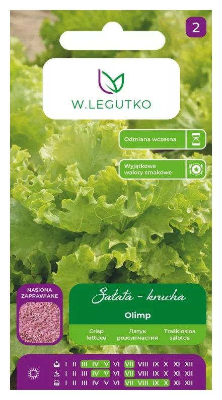 Sałata głowiasta krucha lodowa Olimp nasiona zaprawiane 1g Legutko