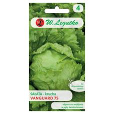 Sałata głowiasta krucha lodowa Vanguard 75 0,5g Legutko