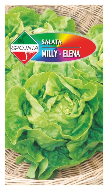 Sałata Milly Elena 1g Spójnia