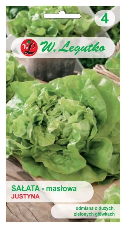 Sałata głowiasta masłowa Justyna 1g Legutko
