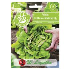 Sałata Głowiasta masłowa - May King BIO 0,5g Legutko
