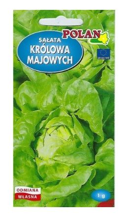 Sałata Królowa Majowych 1g Polan