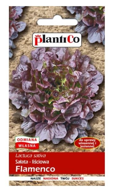 Sałata liściowa Flamenco 0,5g Plantico