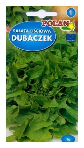 Sałata liściowa zielona Dubaczek 1g Polan