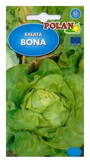 Sałata masłowa Bona Polan