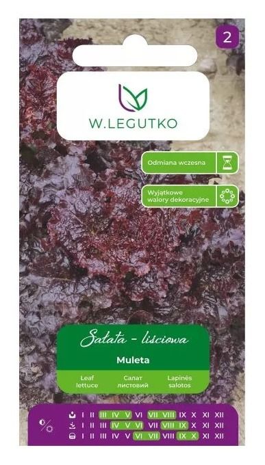 Sałata Muleta czerwona 1g Legutko