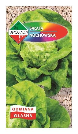 Sałata Nochowska 2g Spójnia