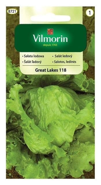 Sałata krucha Great Lakes 118 1g Vilmorin