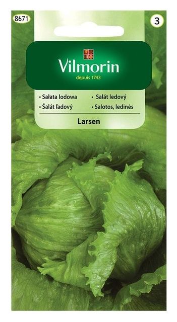 Sałata krucha Larsen 0,5g Vilmorin