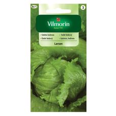 Sałata krucha Larsen 0,5g Vilmorin
