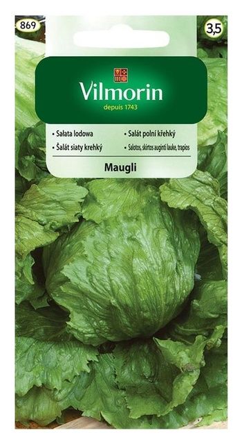 Sałata krucha Maugli 1g Vilmorin