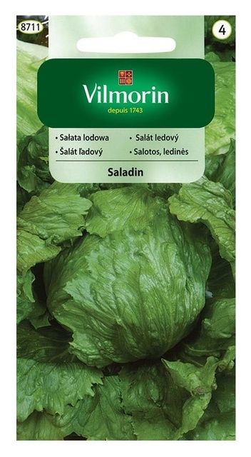 Sałata krucha Saladin 0,2g Vilmorin