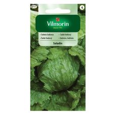 Sałata krucha Saladin 0,2g Vilmorin