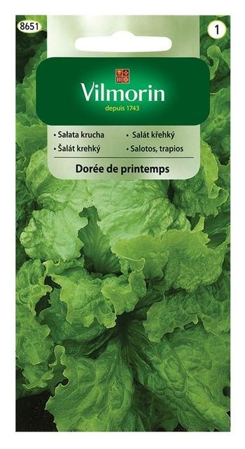 Sałata krucha Doree de Printemps 1g Vilmorin