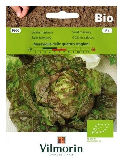 Sałata Meravigila delle Quattro stagioni Bio 0,5g Vilmorin