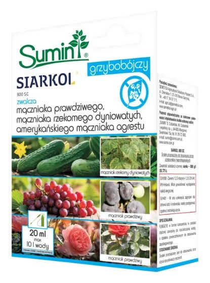 Siarkol 800 SC zwalcza mączniaki warzyw i ziół Sumin1