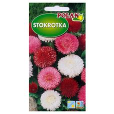 Stokrotka Monstrosa czerwona 0,2g Polan