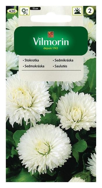 Stokrotka Olbrzymia biała 0,2g Vilmorin