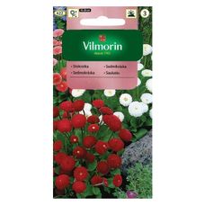 Stokrotka pomponowa 0,1g Vilmorin