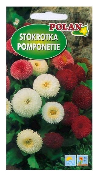 Stokrotka Pomponette mix 0,2g Polan