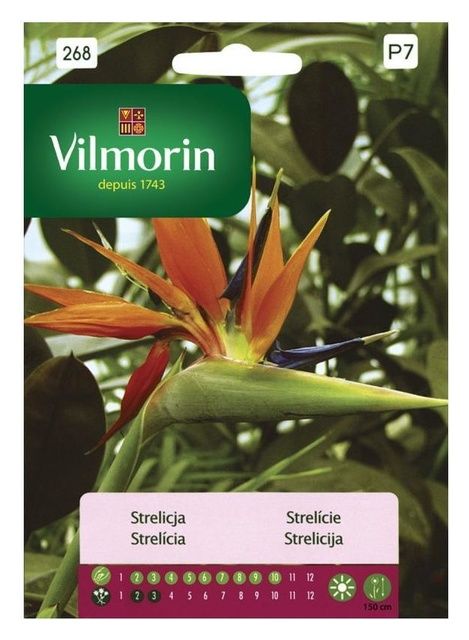 Strelicja Vilmorin